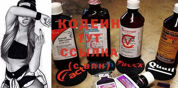 mdpv Вяземский