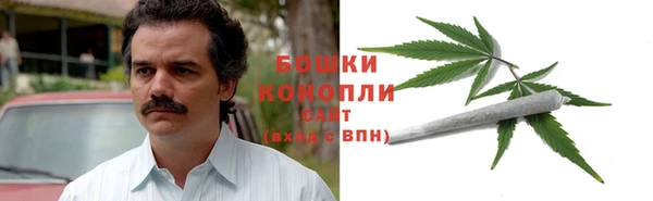 ГАЛЛЮЦИНОГЕННЫЕ ГРИБЫ Вязники