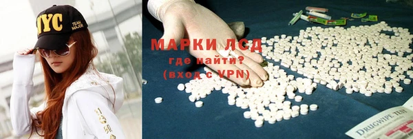 ГАЛЛЮЦИНОГЕННЫЕ ГРИБЫ Вязники