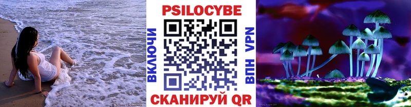 Галлюциногенные грибы MAGIC MUSHROOMS  купить   Зверево 